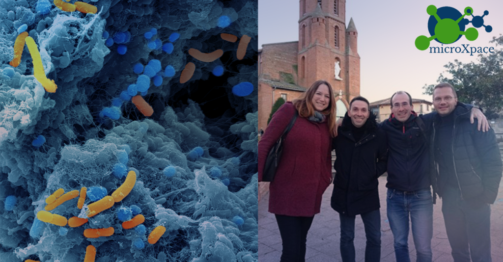 Promising new technology developed by microXpace and Lallemand Animal Nutrition ready to move to product development phase