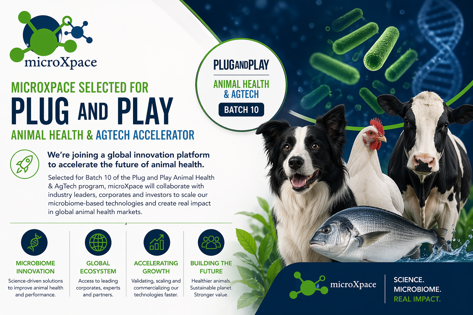microXpace Selected for Plug and Play Animal Health Accelerator (Batch 10)