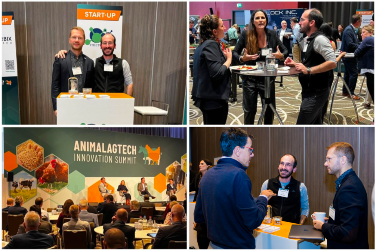 microXpace at the Animal AgTech Innovation Summit, October, Amsterdam