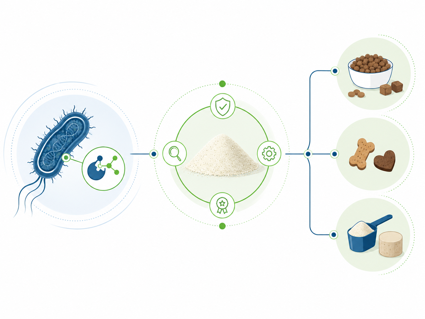 Diagram showing how bacteria are turned into a functional feed material