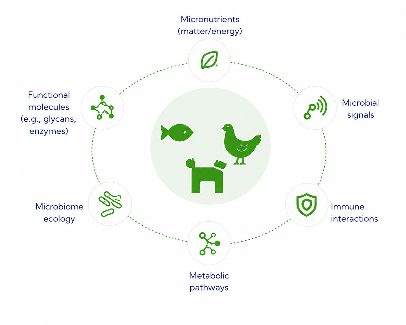 Diagram of the microbial nutrition ecosystem: nutrients, microbial signals, immune interactions and metabolic pathways