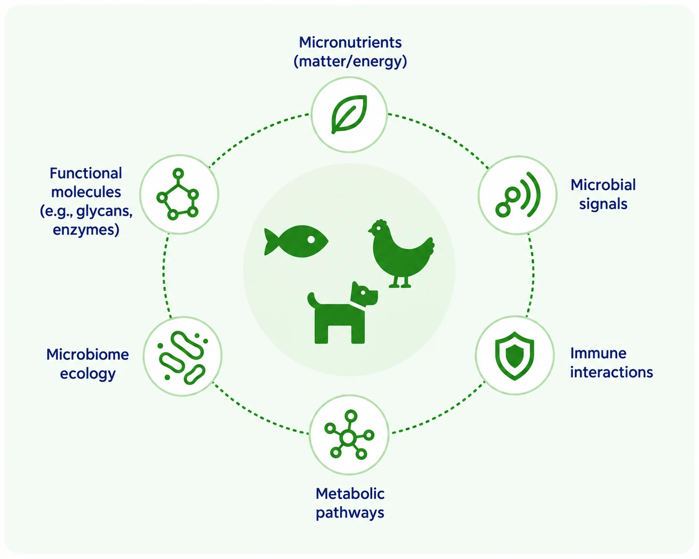 Diagram showing how nutrition, the microbiome and animal physiology interact in fish, poultry and dogs